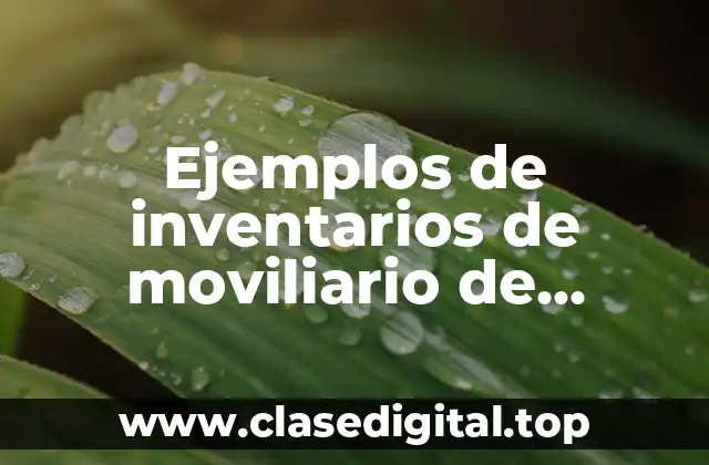 Ejemplos de inventarios de moviliario de restaurante en Excel