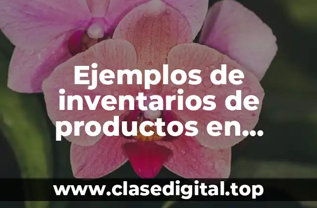 Ejemplos de inventarios de productos en proceso