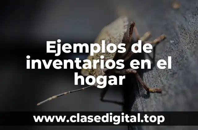 Ejemplos de inventarios en el hogar