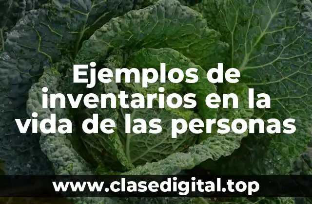 Ejemplos de inventarios en la vida de las personas