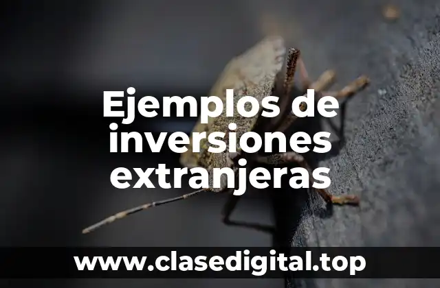 Ejemplos de inversiones extranjeras
