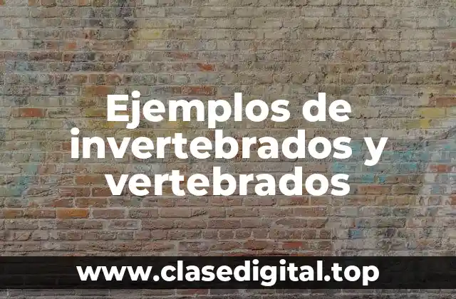 Ejemplos de invertebrados y vertebrados