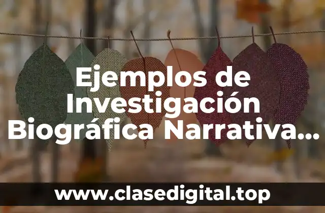 Ejemplos de Investigación Biográfica Narrativa en Educación en México