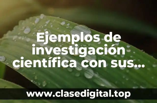 Ejemplos de investigación científica con sus pasos y Significado