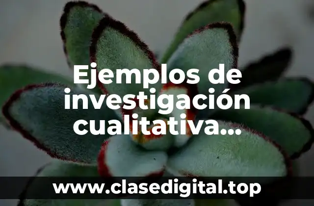 Ejemplos de investigación cualitativa, cuantitativa y mixta en problemas sociales
