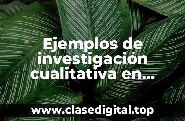 Ejemplos de investigación cualitativa en educación preescolar