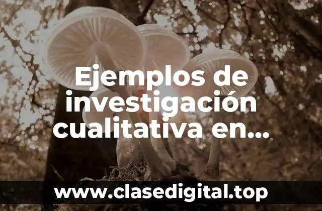 Ejemplos de investigación cualitativa en trabajo social