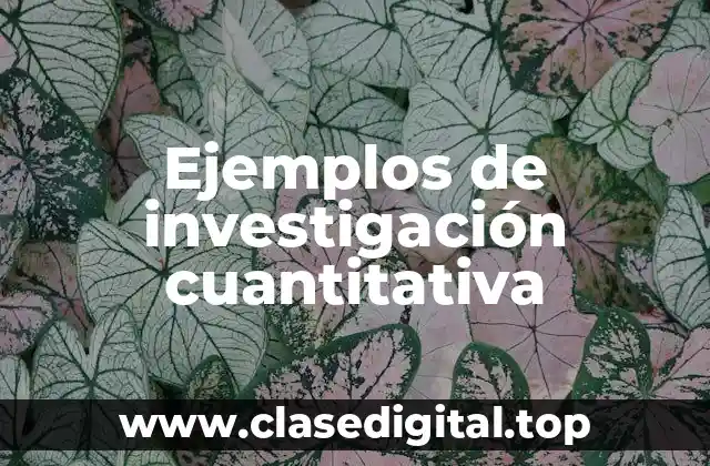 Ejemplos de investigación cuantitativa