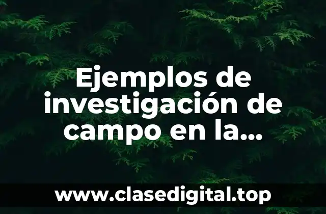 Ejemplos de investigación de campo en la ingeniería civil