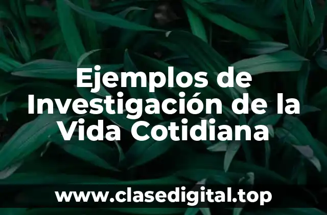Ejemplos de Investigación de la Vida Cotidiana