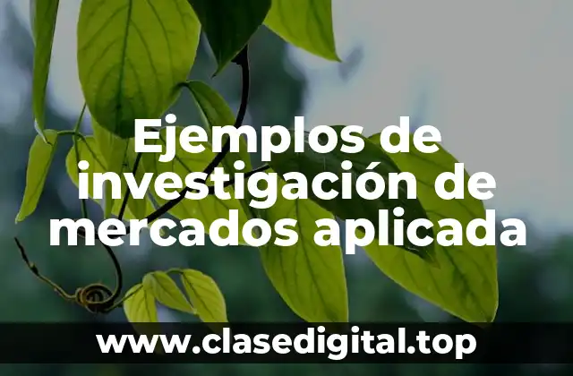 Ejemplos de investigación de mercados aplicada