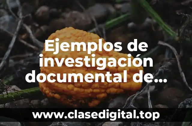 Ejemplos de investigación documental de campo y experimental