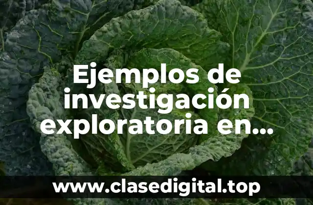 Ejemplos de investigación exploratoria en educación