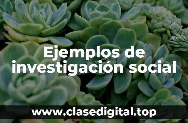 Ejemplos de investigación social