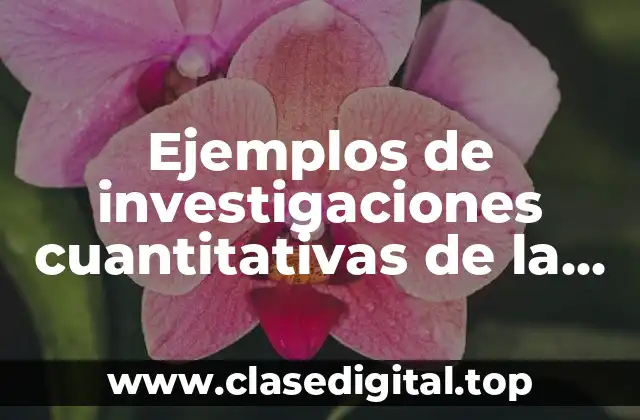 Ejemplos de investigaciones cuantitativas de la desguladad de género