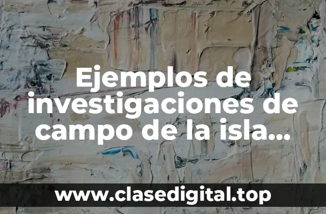 Ejemplos de investigaciones de campo de la isla basura