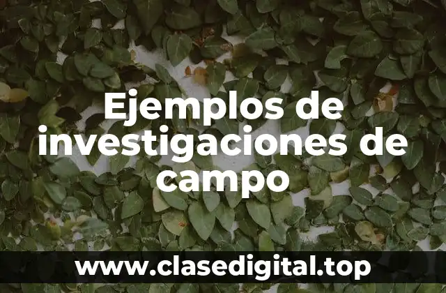 Ejemplos de investigaciones de campo