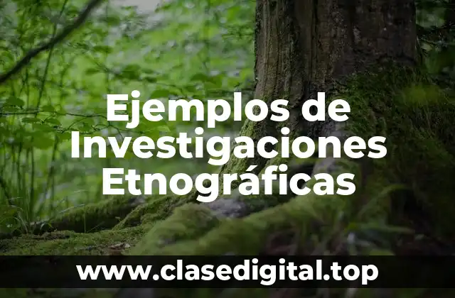 Ejemplos de Investigaciones Etnográficas