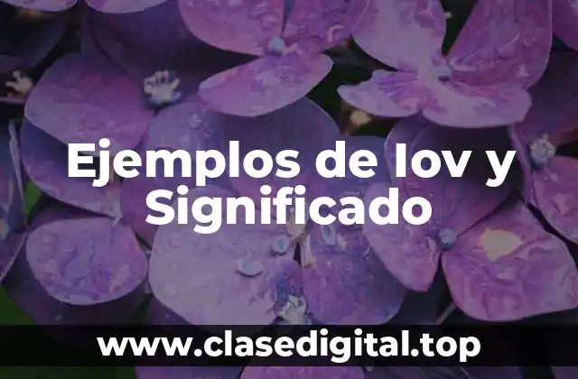 Ejemplos de Iov y Significado