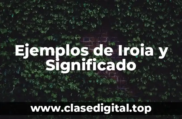 Ejemplos de Iroia y Significado