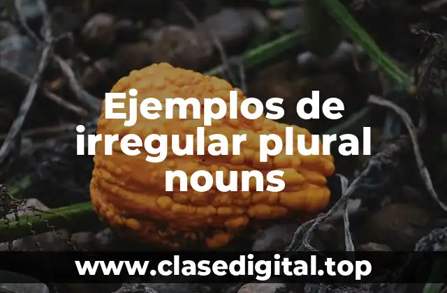 Ejemplos de irregular plural nouns
