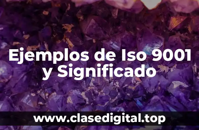 Ejemplos de Iso 9001 y Significado