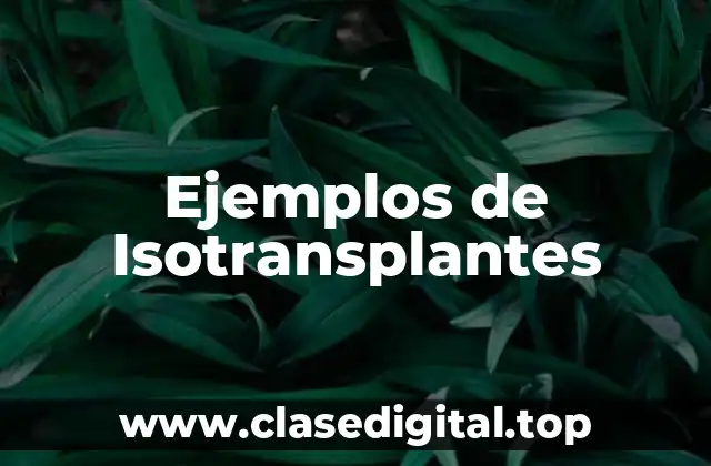 Ejemplos de Isotransplantes
