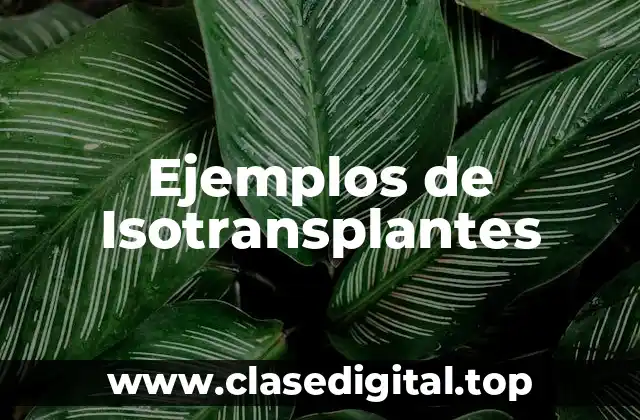 Ejemplos de Isotransplantes