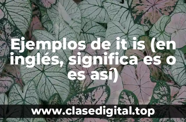 Ejemplos de it is (en inglés, significa es o es así)