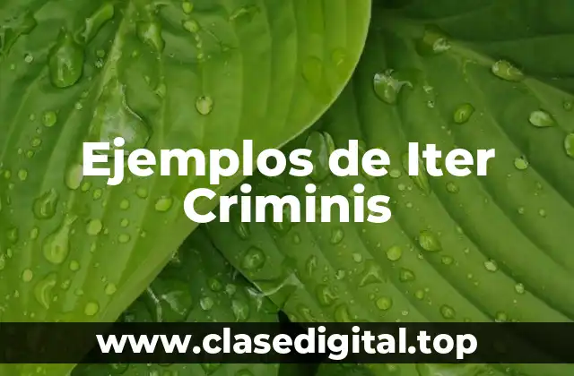 Ejemplos de Iter Criminis