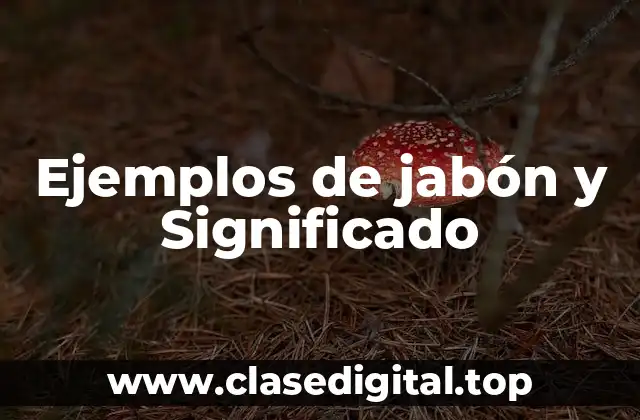 Ejemplos de jabón y Significado