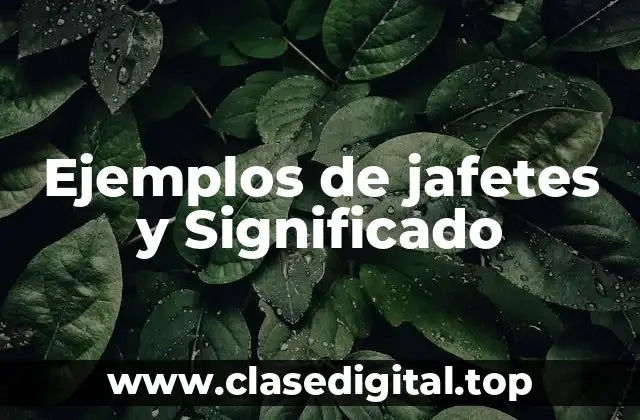 Ejemplos de jafetes y Significado