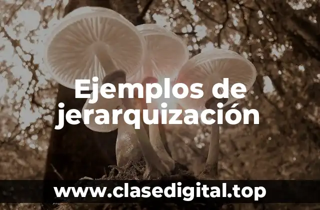 Ejemplos de jerarquización
