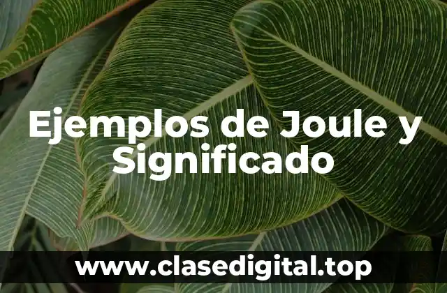 Ejemplos de Joule y Significado