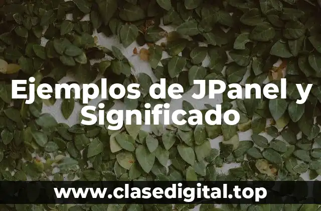 Ejemplos de JPanel y Significado