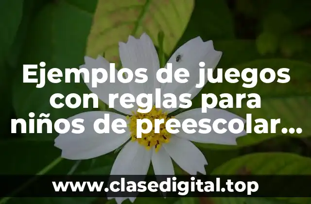 Ejemplos de juegos con reglas para niños de preescolar y Significado