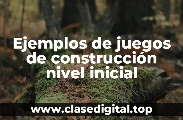 Ejemplos de juegos de construcción nivel inicial