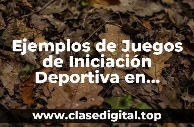 Ejemplos de Juegos de Iniciación Deportiva en Educación Física y Significado