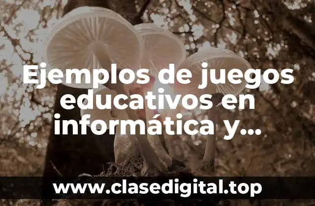Ejemplos de juegos educativos en informática y Significado