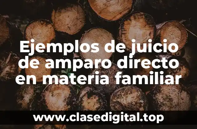 Ejemplos de juicio de amparo directo en materia familiar
