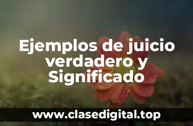 Ejemplos de juicio verdadero y Significado