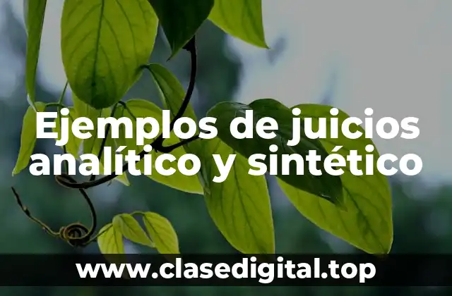 Ejemplos de juicios analítico y sintético