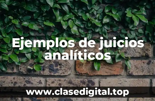 Ejemplos de juicios analíticos