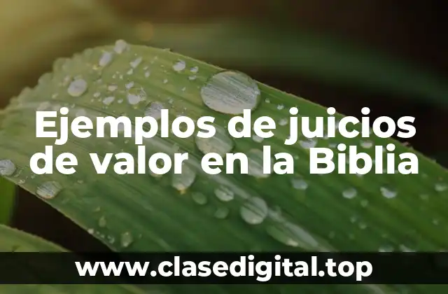 Ejemplos de juicios de valor en la Biblia