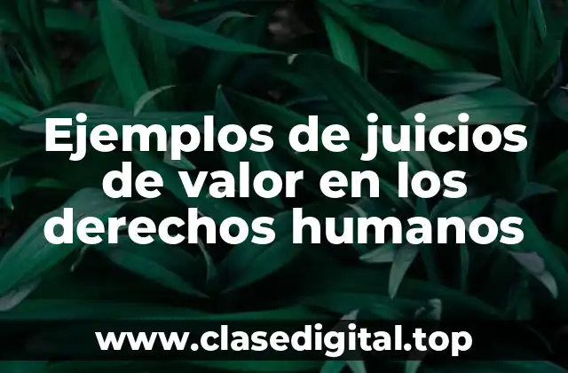 Ejemplos de juicios de valor en los derechos humanos