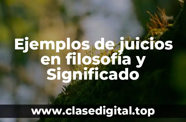 Ejemplos de juicios en filosofía y Significado