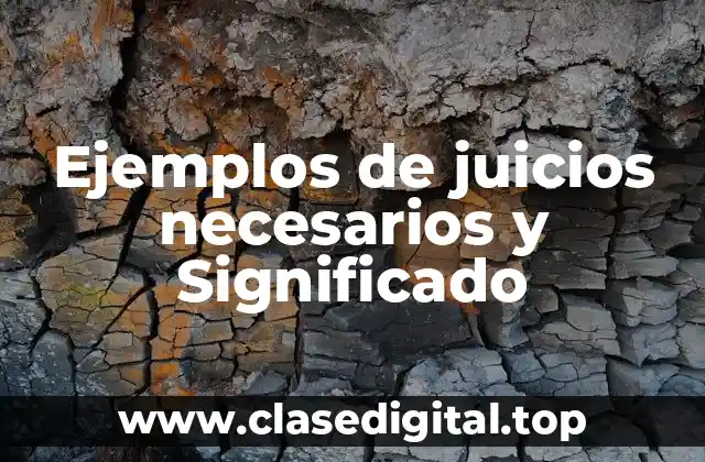 Ejemplos de juicios necesarios y Significado