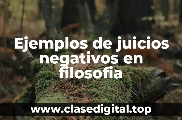Ejemplos de juicios negativos en filosofia
