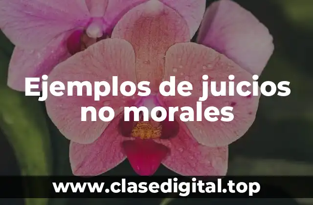 Ejemplos de juicios no morales