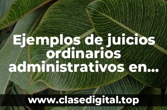 Ejemplos de juicios ordinarios administrativos en México